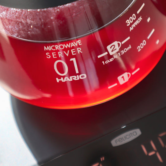 Home Barista Training — Filter Brewing